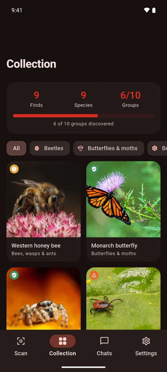 The collection in dark theme